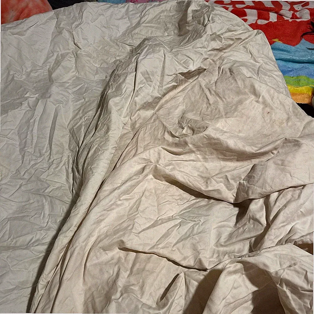 Queen Size Cream Beige Fitted Bedding Sheet