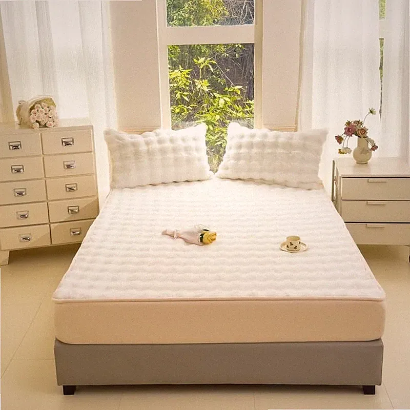 Thicken Plush Fluffy Fitted Sheet Winter Warm Bedspread swith two Pillowcases